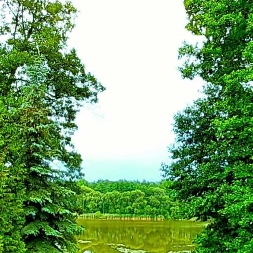 110297188_588472555391708_7228942551463736715_n